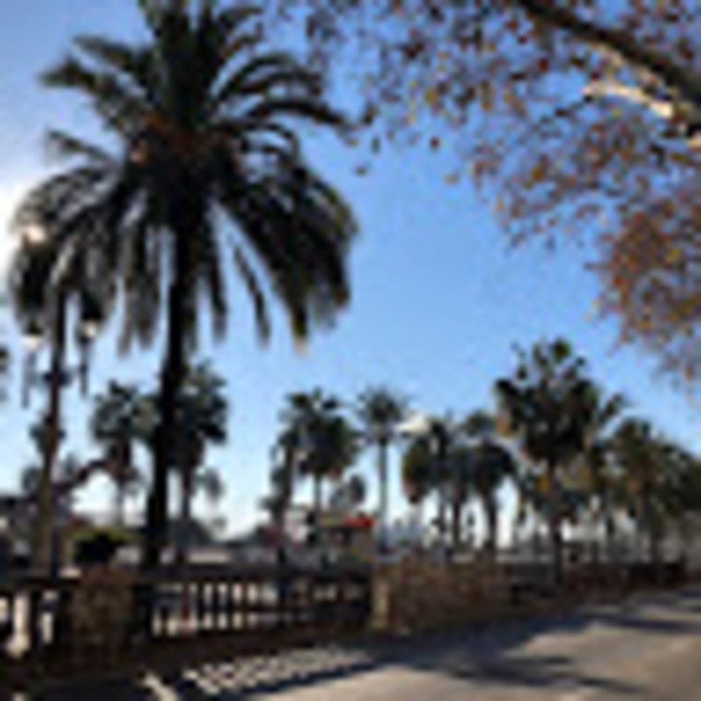 Meet your Posher, Clara